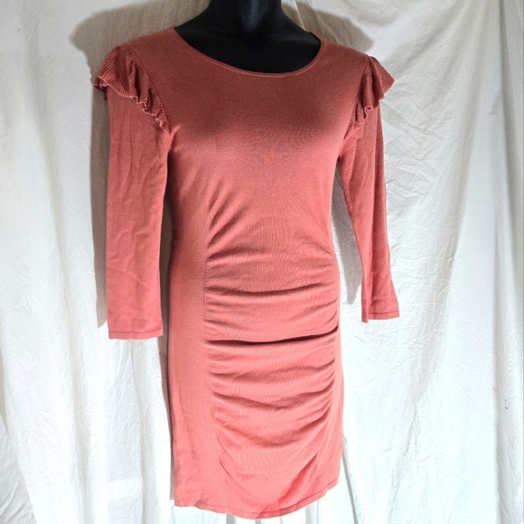 Adorable Express Rose Pink Winter Dres NWOT - Picture 1 of 11